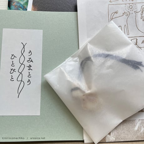 『umimatou / mirocomachiko』BOX セット
