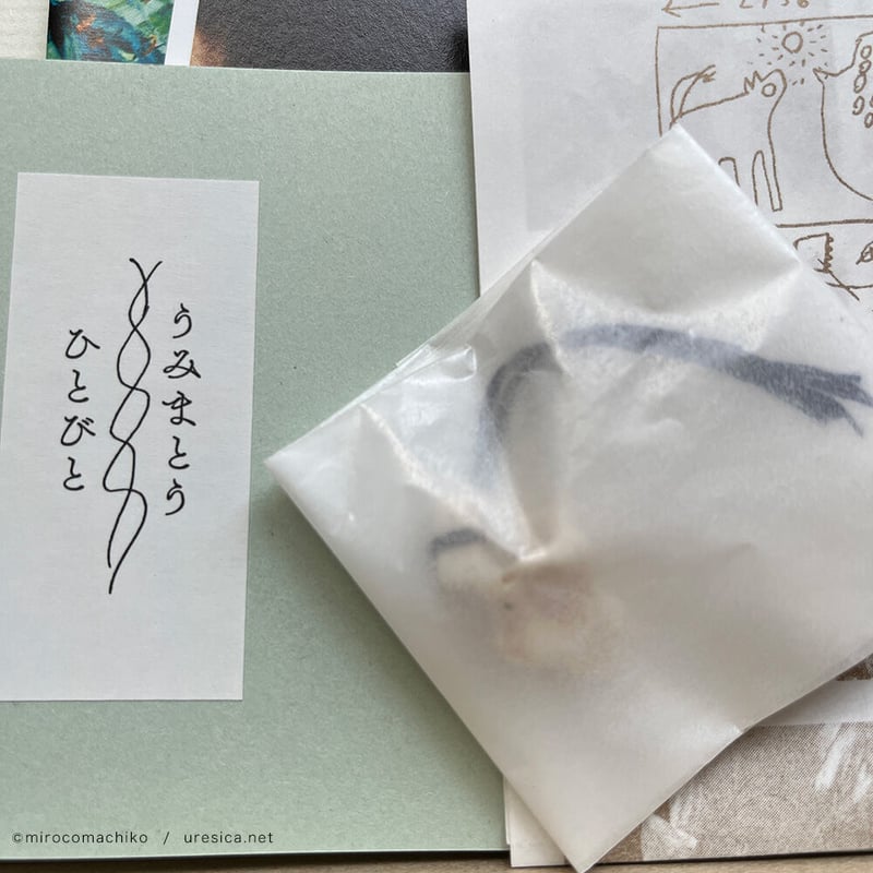 umimatou / mirocomachiko』BOX セット | URESICA