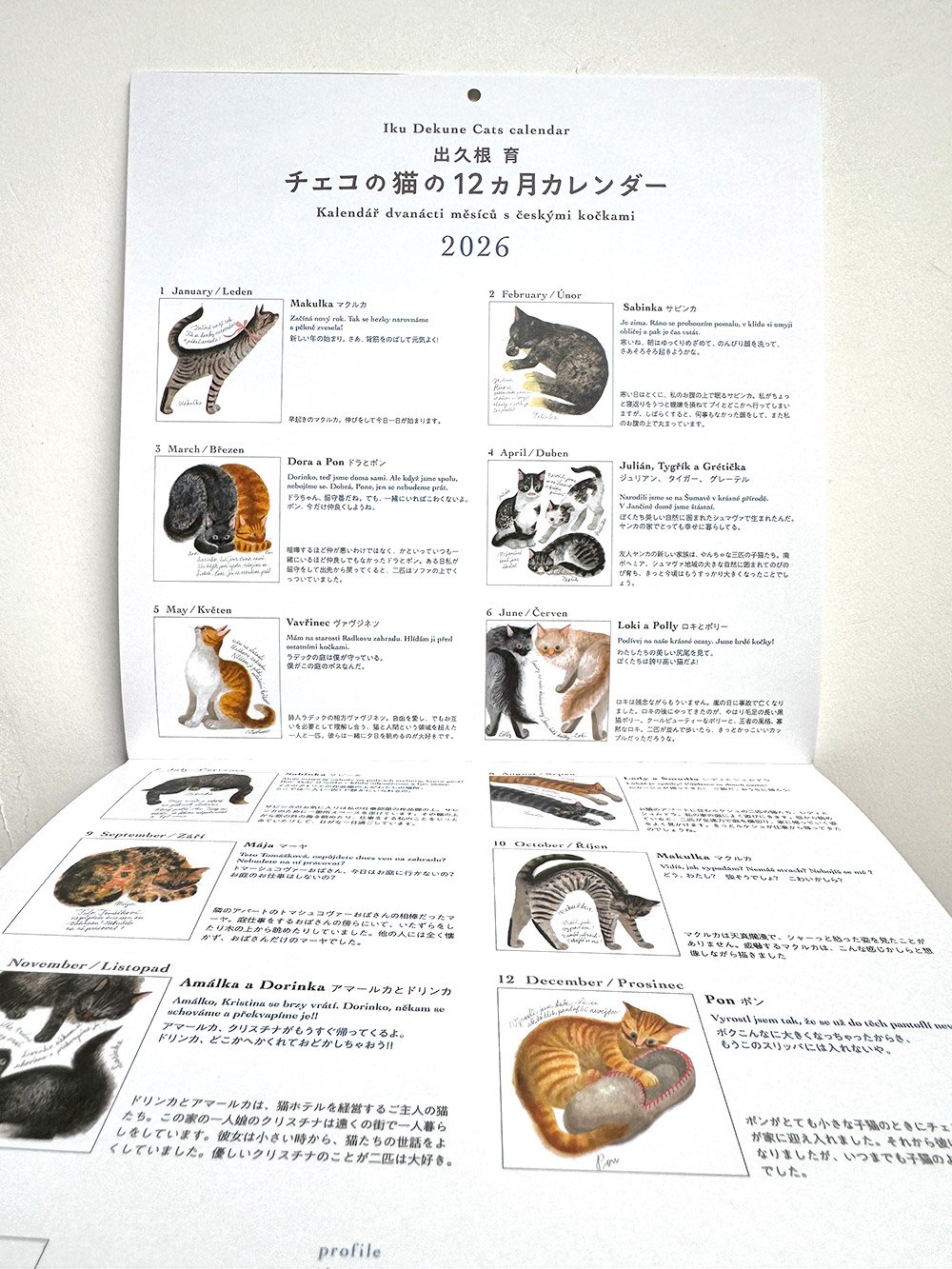出久根育 チェコの猫の12カ月カレンダー2026 | URESICA