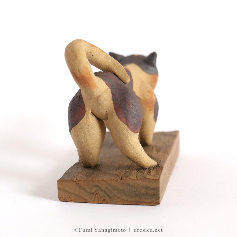 柳本史 猫6 | URESICA