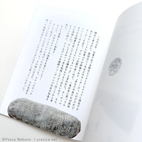『アイルランドの想い出』猫野ぺすか
