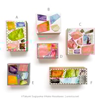 杉山巧 x HAKOSICA １