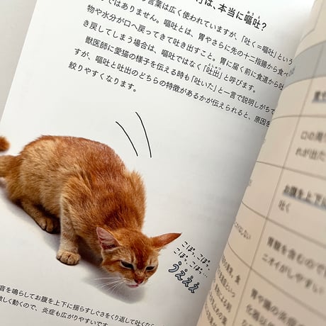 『猫の病気のサインがわかる図鑑』