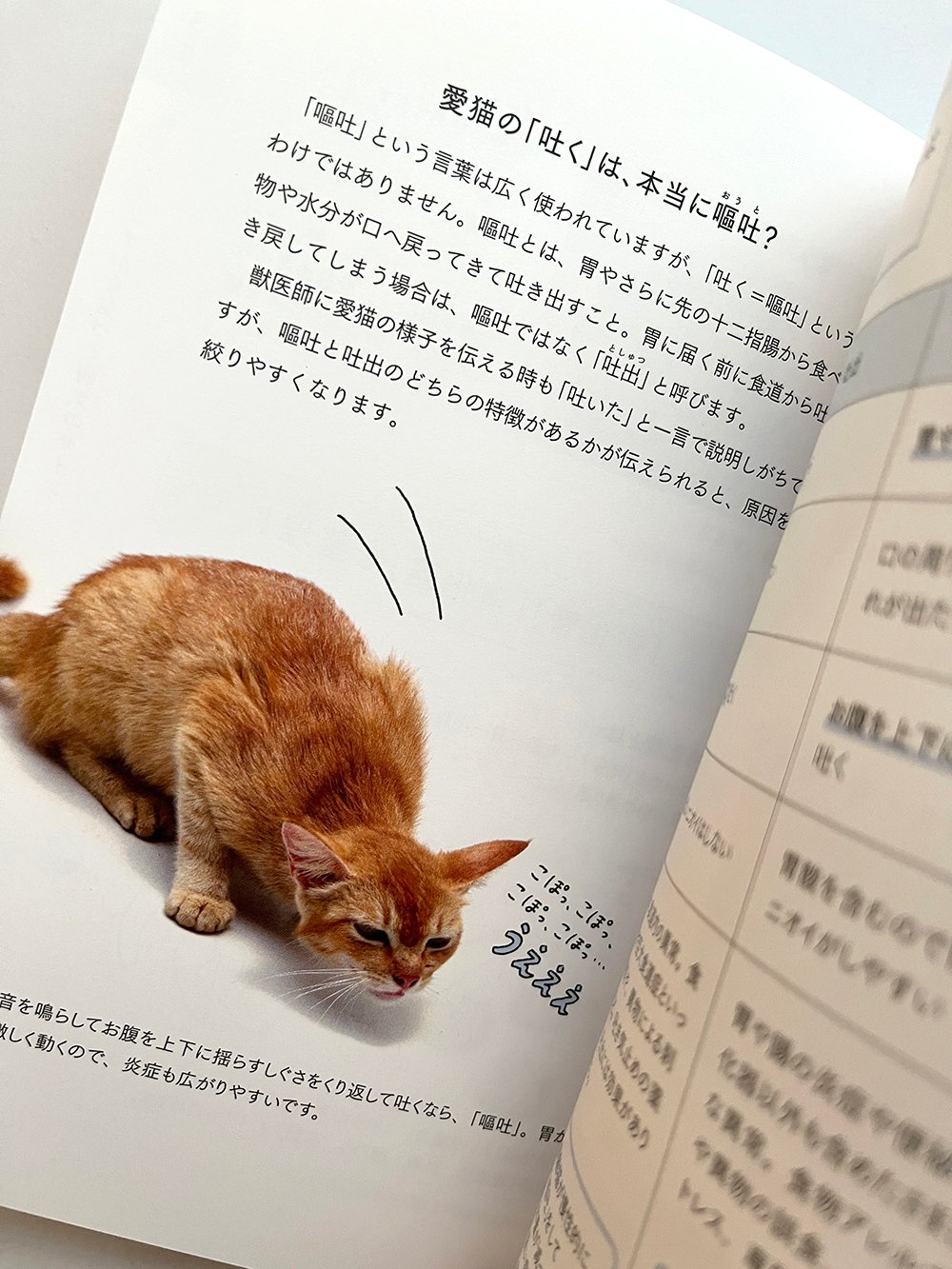 猫の病気のサインがわかる図鑑』 | URESICA