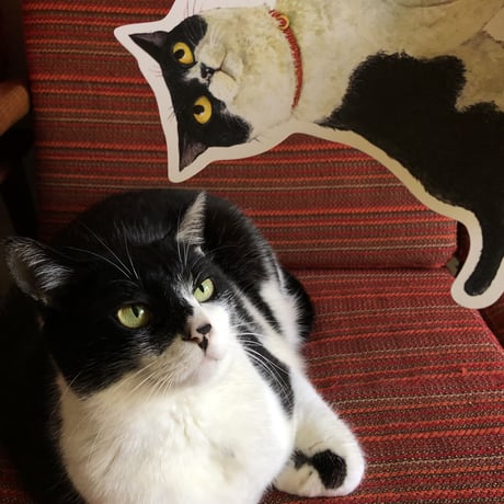 『なまえのないねこ』 型抜きカード