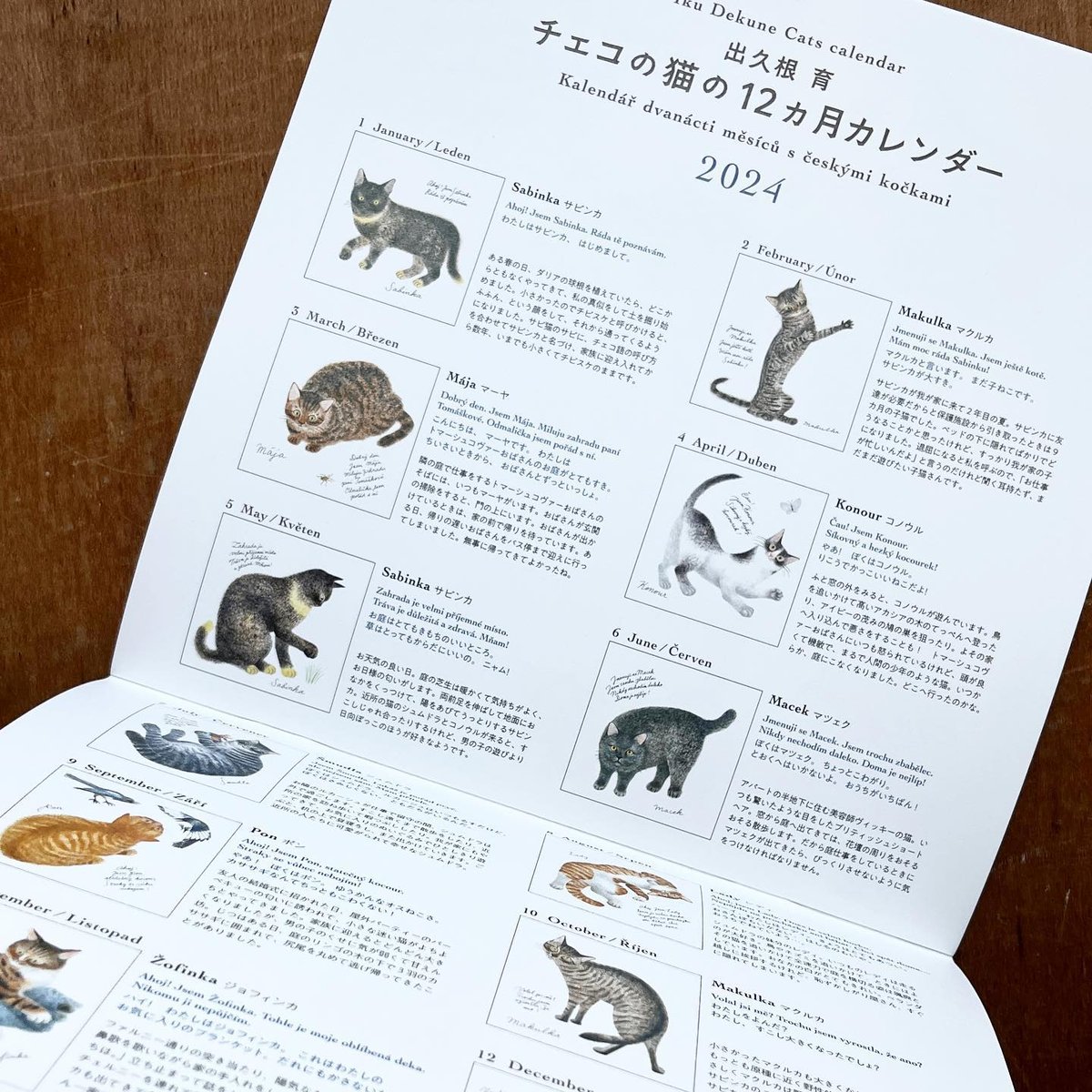 出久根育 チェコの猫の12カ月カレンダー2024 | URESICA