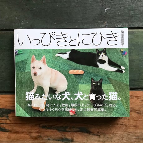 桑原奈津子『いっぴきとにひき』