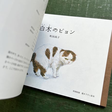 『町田尚子画集　隙あらば猫』