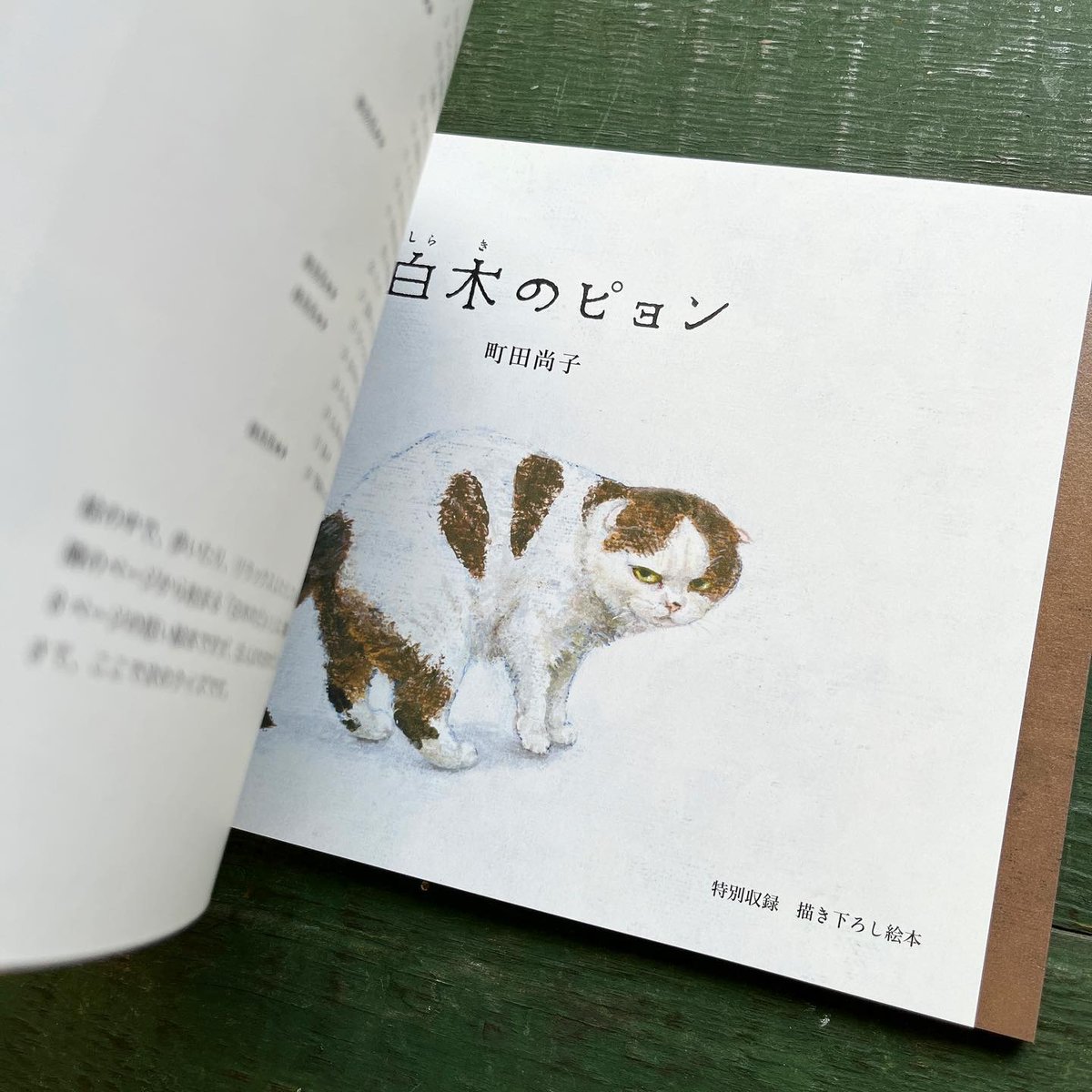 町田尚子画集 隙あらば猫』☆サイン本 | URESICA