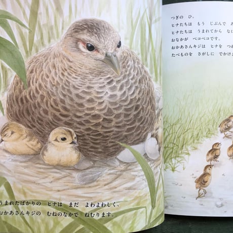 『キジのかぞく』ユカワアツコ★サイン本