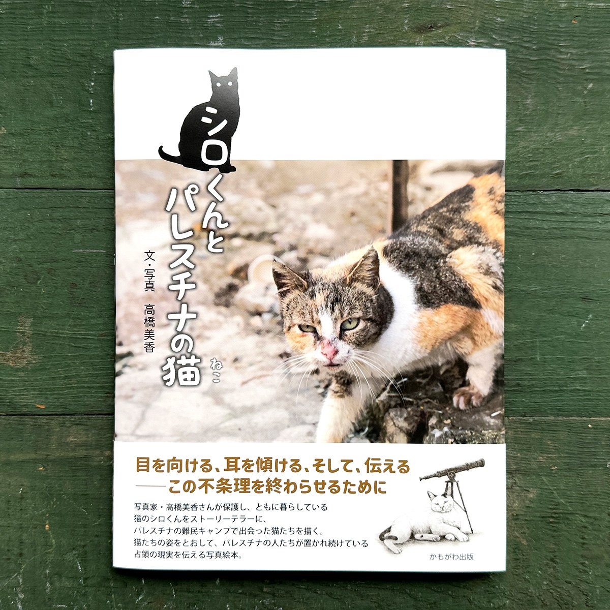 シロくんとパレスチナの猫』高橋美香 | URESICA