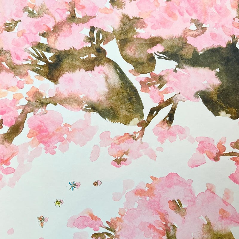 さくらのふね』きくちちき | URESICA