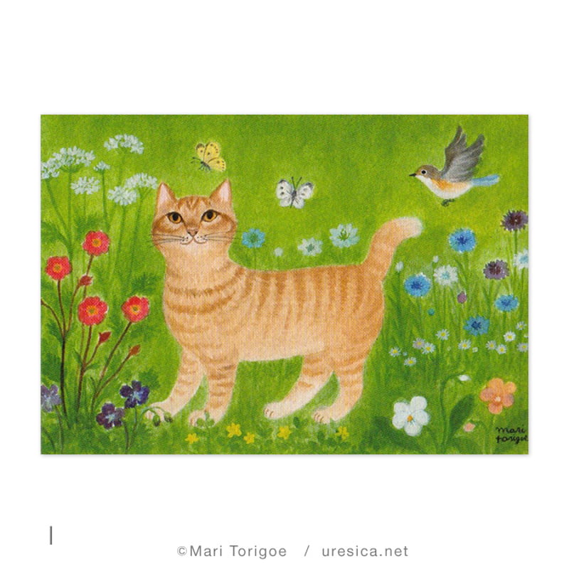 とりごえまり 原画 猫 【公式通販】