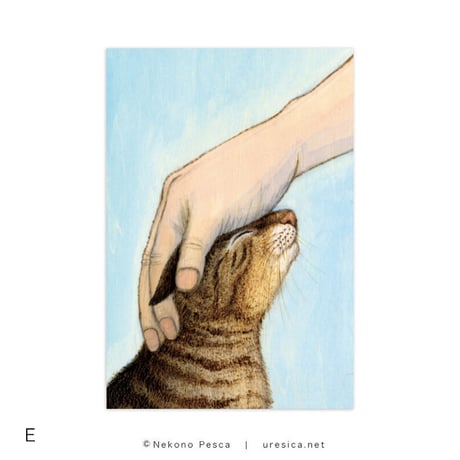 猫野ぺすか「11月の猫」ポストカード