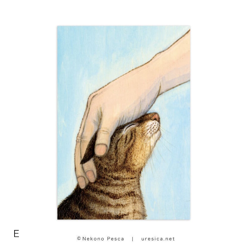 猫野ぺすか「11月の猫」ポストカード | URESICA 猫野ぺすか「11月の猫」ポストカード | URESICA