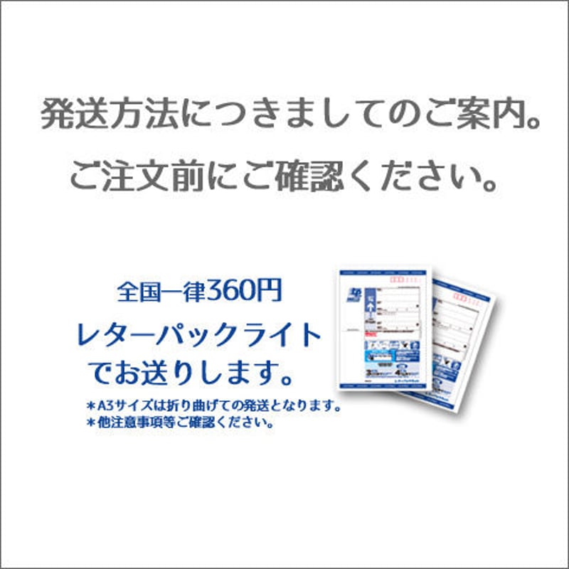 折り曲げなし 擦れ合っ レターパックプラス 40枚 折り曲げなし 擦れ合っ レターパックプラス 40枚