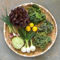 季節の有機野菜セット