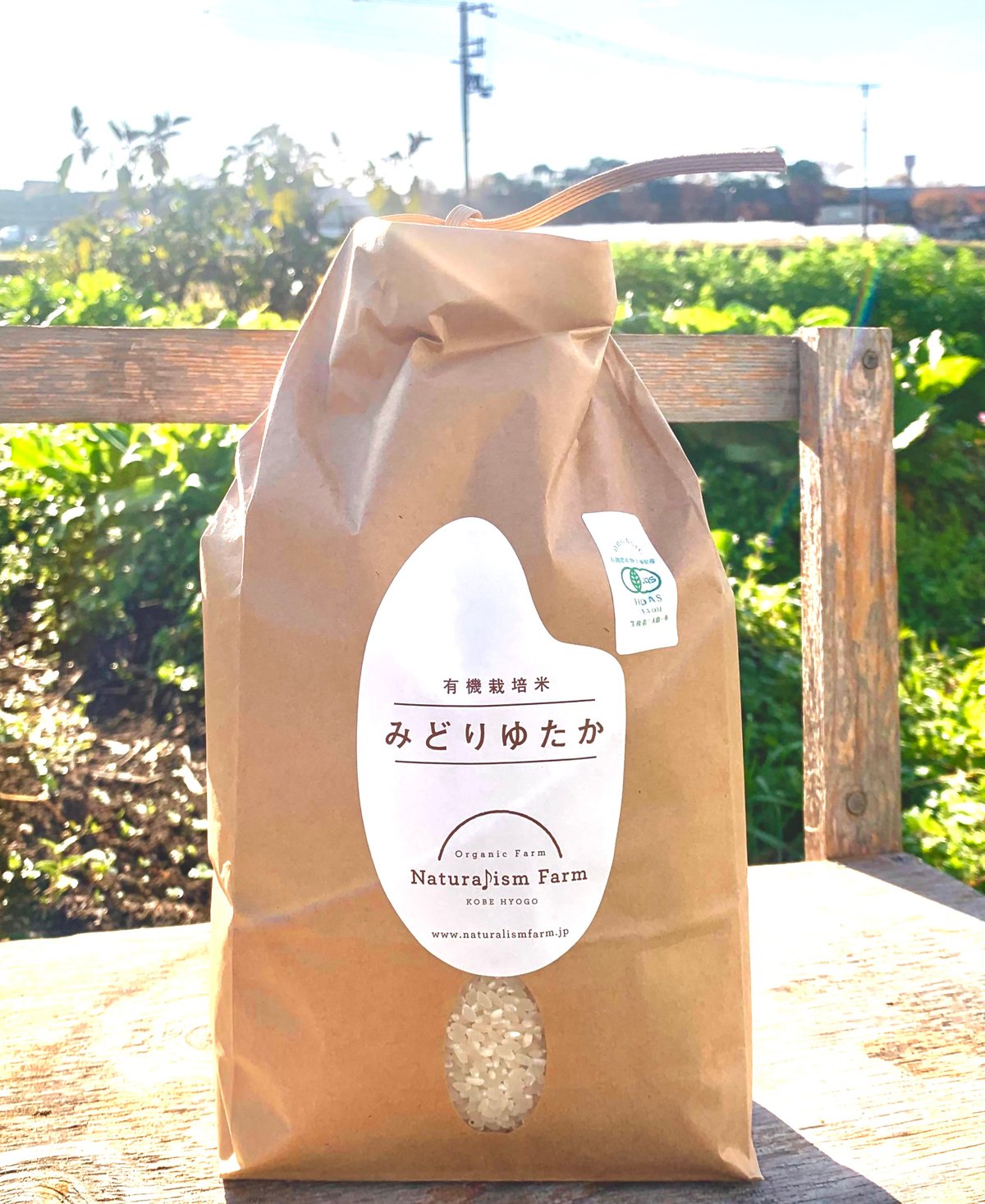 令和7年度 有機JAS みどり豊 10kg | Naturalism market