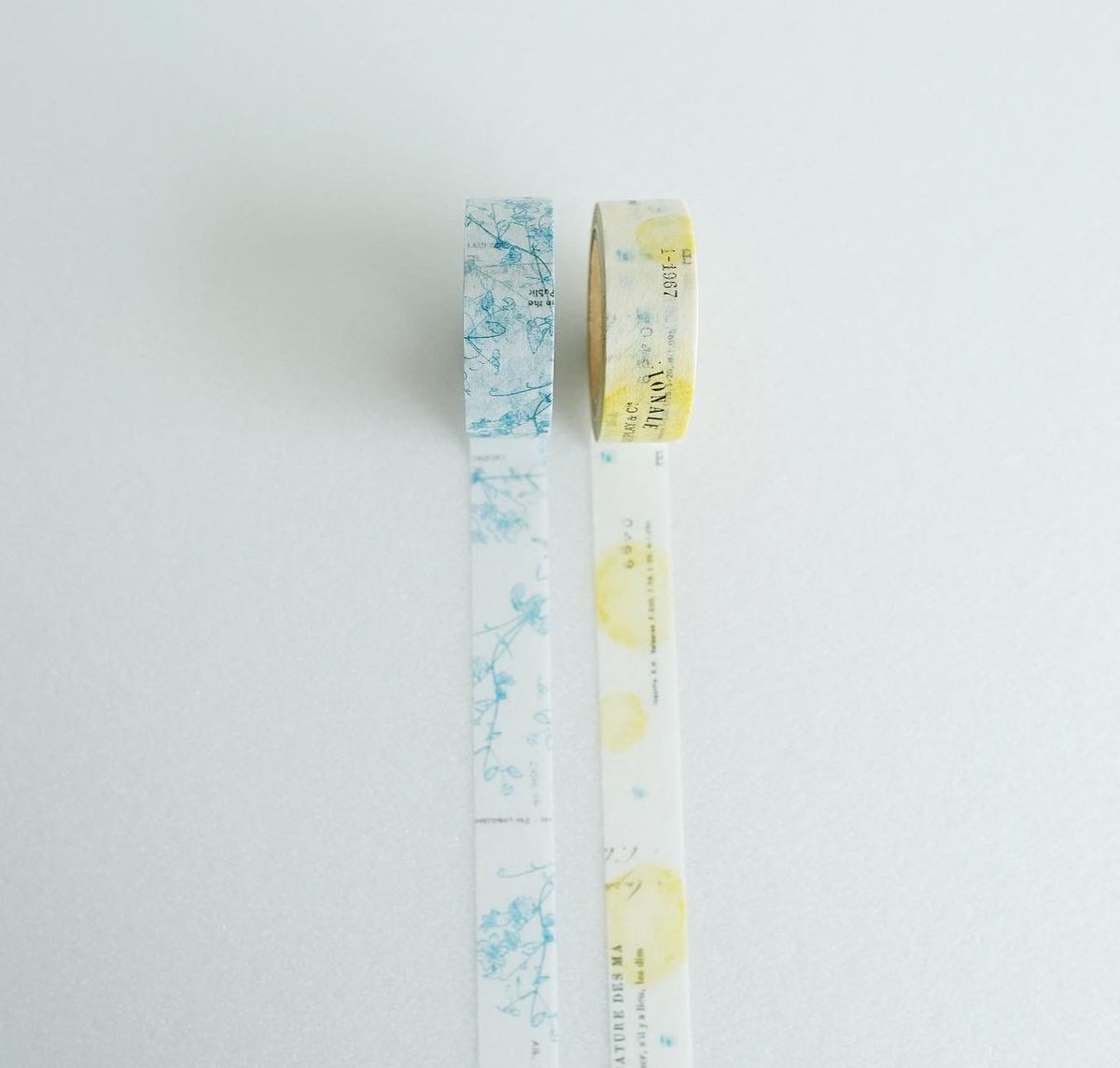 6月の新作 | ヨハク