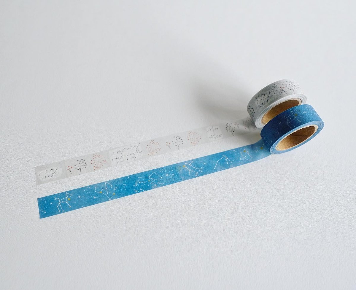 ヨハク　collection box シラカバノモリ fit=scale-down,w=1200