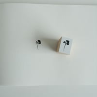 S-093  木の実