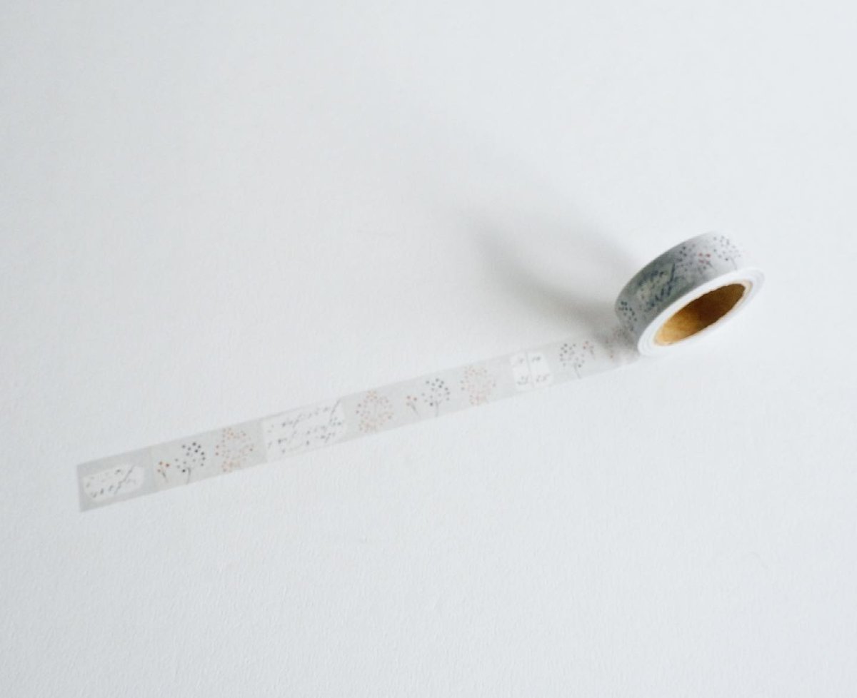 ヨハク　collection box シラカバノモリ fit=scale-down,w=1200