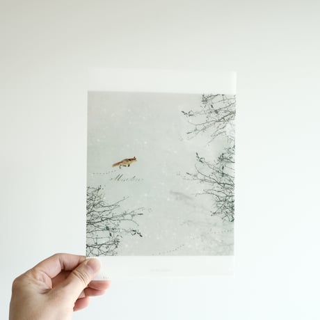 CATEGORY clear file | ヨハク