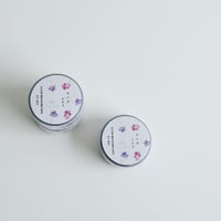 CT-021  クリアマステ　ビオラ
