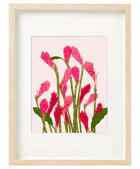 Aloha De Mele  ART WORK  GINGER BLOOM  HNLS03455-88430