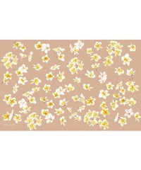 Aloha De Mele  パレオ  PUA MELIA  HNLS03433-69920