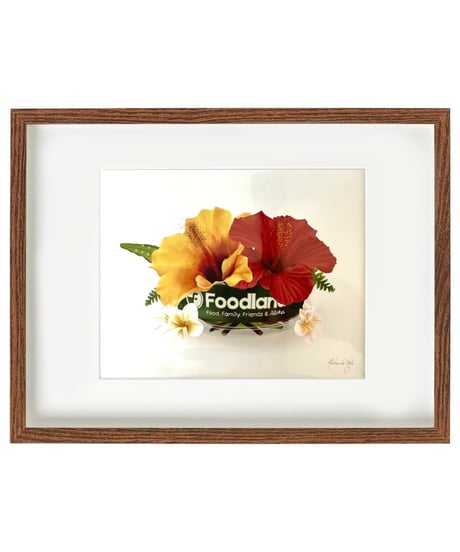 Aloha De Mele  ART WORK  FOODLAND  HNLS03425-14820