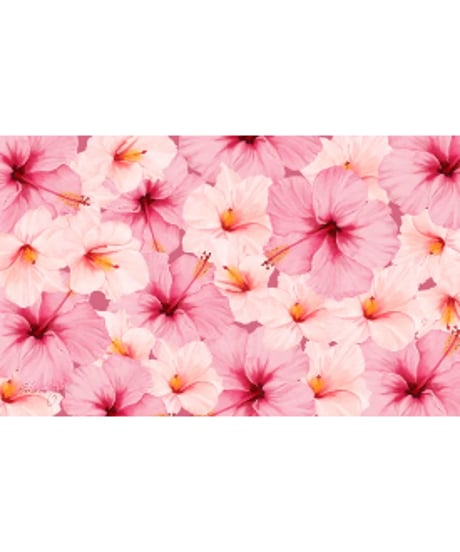 Aloha De Mele  パレオ  AKALA  HNLS03577-09720