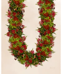 Aloha De Mele  ART WORK  'Ohi'a Lehua 25　HNL03652-51030