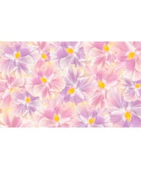 Aloha De Mele  パレオ  PONI  HNLS03432-69920