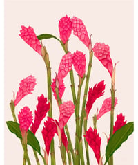 Aloha De Mele  ART WORK  GINGER BLOOM  HNLS03455-88430