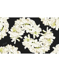 Aloha De Mele  パレオ  Liele Gardenia  HNLS03690-24430