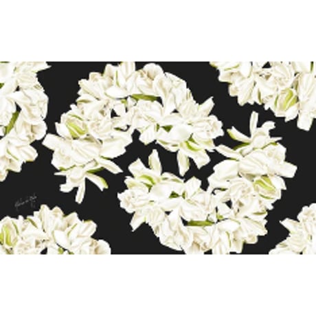 アロハデメレ | STORES