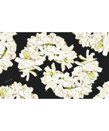 CATEGORY Aloha De Mele | Leimeria