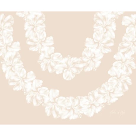 アロハデメレ | STORES