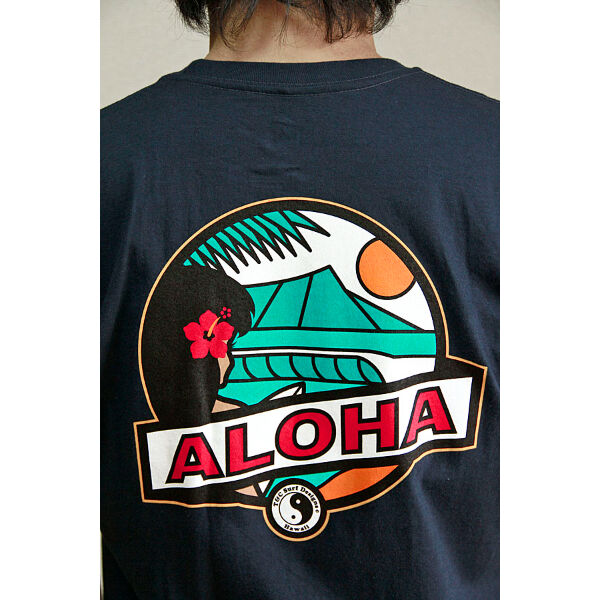 タウンアンドカントリー　トミーTanakaシェイプ　9.0 ハワイ タウンアンドカントリー トミーTanakaシェイプ 9.0 ハワイ タウン