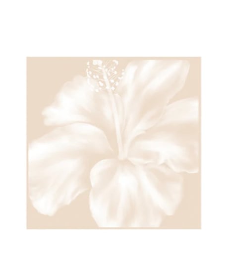 Aloha De Mele  ART WORK  May Day 22　HNL03684-24430