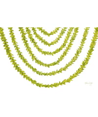 Aloha De Mele  パレオ  PAKALANA  HNLS03435-03920