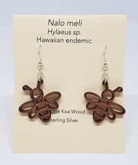 KipukaKai　Nalo Meli　コアウッドピアス　HNLS02561-00230