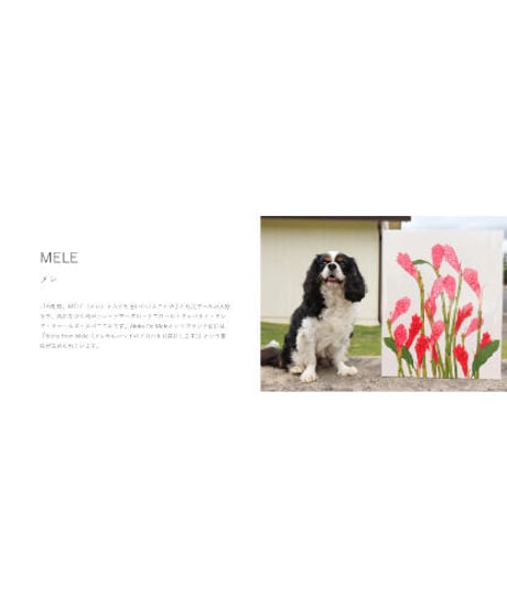 Aloha De Mele  パレオ  PONI  HNLS03432-69920