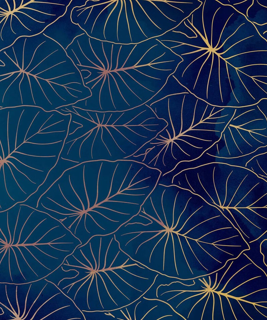64e7dd2441100f002bcb362e