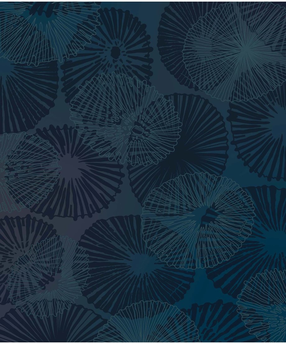 64e7ddfd41100f002bcb363b
