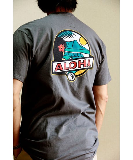 日本未発売 ハワイ直輸入 タウン＆カントリー Tシャツ  ALOHA　HNLS02767-49220