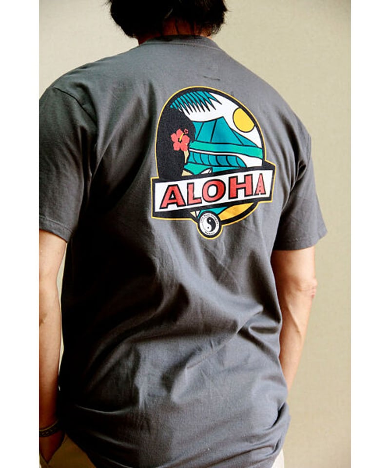 日本未発売 ハワイ直輸入 タウン＆カントリー Tシャツ ALOHA HNLS02767