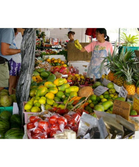 BIG ISLAND  Abundant Life Natural Foods  ECO BAG　HNLS03306-15710