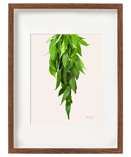 Aloha De Mele  ART WORK  LEI MAILE  HNLS03463-88430